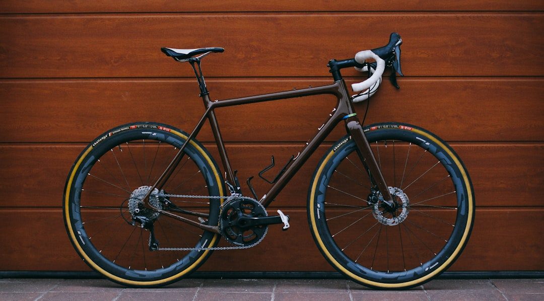 Gravelbike reparatie in Sittard – monteur vervangt versleten cassette