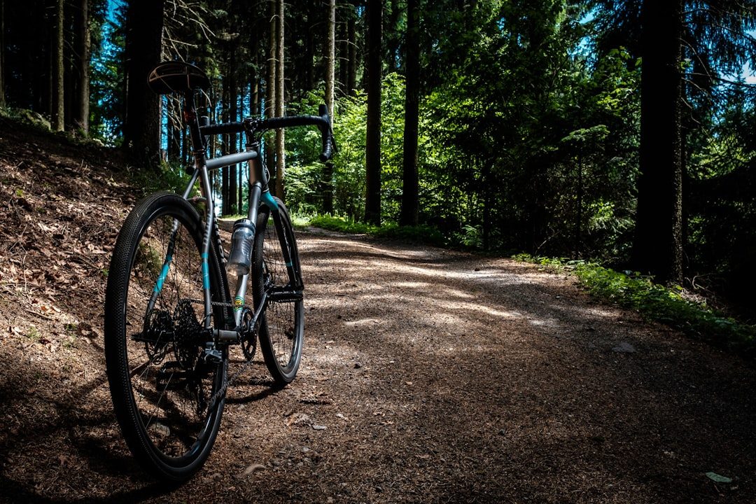 Gravelbike reparatie in Sittard – monteur vervangt versleten cassette