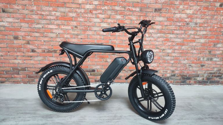Fat Bike Service, Maintenance & Repair Maarheeze